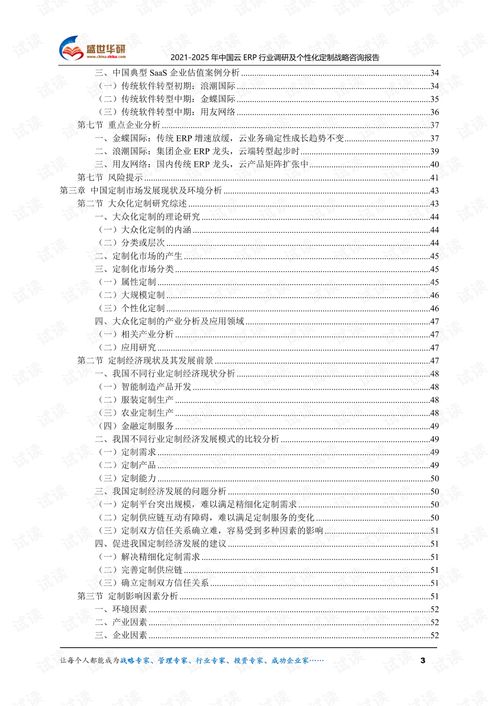 2021 2025年中国云erp行业调研及个性化定制战略咨询报告.pdf